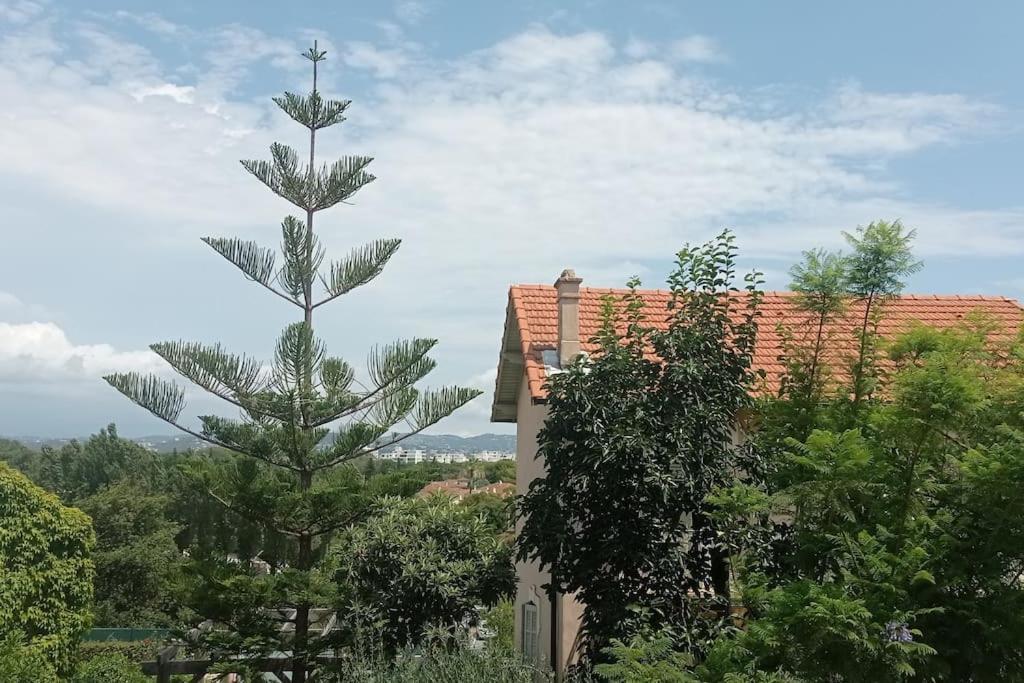 Claelle Appartment - 200M Beach มองเดอลิเยอลานาปูล ภายนอก รูปภาพ